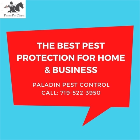 Reputed Pest Control Company in Colorado Springs