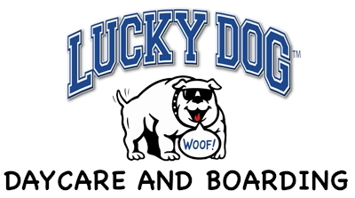Lucky Dog Training Seminars