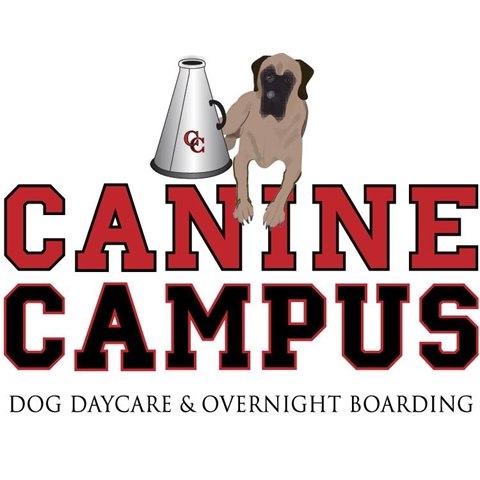 Dog Daycare and Overnight Boarding For Picky Pet Owners