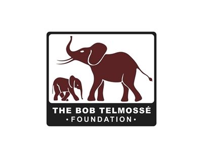 The Bob Telmosse' Foundation