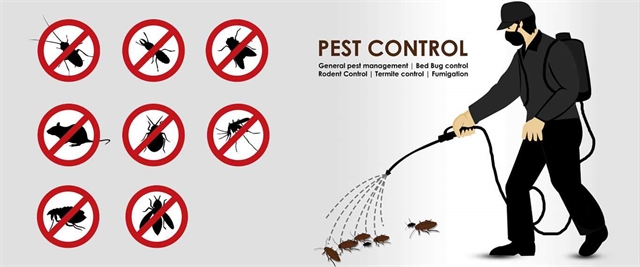 5 Questions You Must Ask When Hiring a Pest Control Company