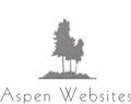 Aspen Websites