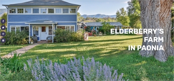 Elderberry's Education and Retreat Center