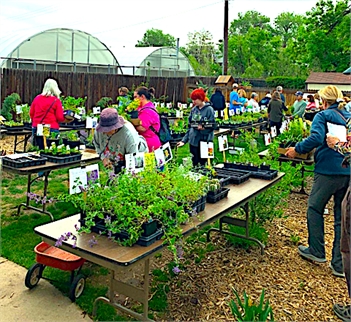 Horticultural Art Society Spring Plant Sales
