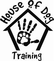 House of Dog Training Stevie Fields