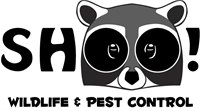 ShOO Wildlife & Pest Control Jeffrey Mokol